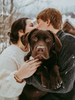 Is he staring into your soul too or is that just me?

Yes yes yes to bringing your pup to your engagement session.

Pretty sure he understood the assignment better than anyone. 😍

#engagementphotos
#engagementsession
#engagedlife
#vermontengagement
#newenglandengagement
#couplesphotography
#engagementinspo
#dogsinengagementphotos
#pupsofinstagram
#bringyourdog
#dogparents
#furfamily
#stowephotographer 
#stowevt
#stowelocal
#vermontphotographer
#newenglandphotographer
#vermontcouples
#storytellingphotography