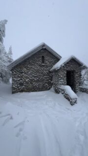 2025 changed me. It softened me, strengthened me, and reminded me how fleeting and meaningful our lives are. It’s also changed how I photograph people. I notice the quiet moments more now. The in between. The way kids lean into their parents. The way connection shows up when no one is performing. This work means more to me than ever. ❤️