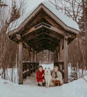 When your dog sorta, kinda (totally) steals the show. 😍
And apparently this is a dog account now. 😆
#vermontfamilyphotographer #familyphotography
#winterfamilyphotos #vermontfamilies
#dogfriendlysessions #bringyourdog
#cozyvibes #stowevt