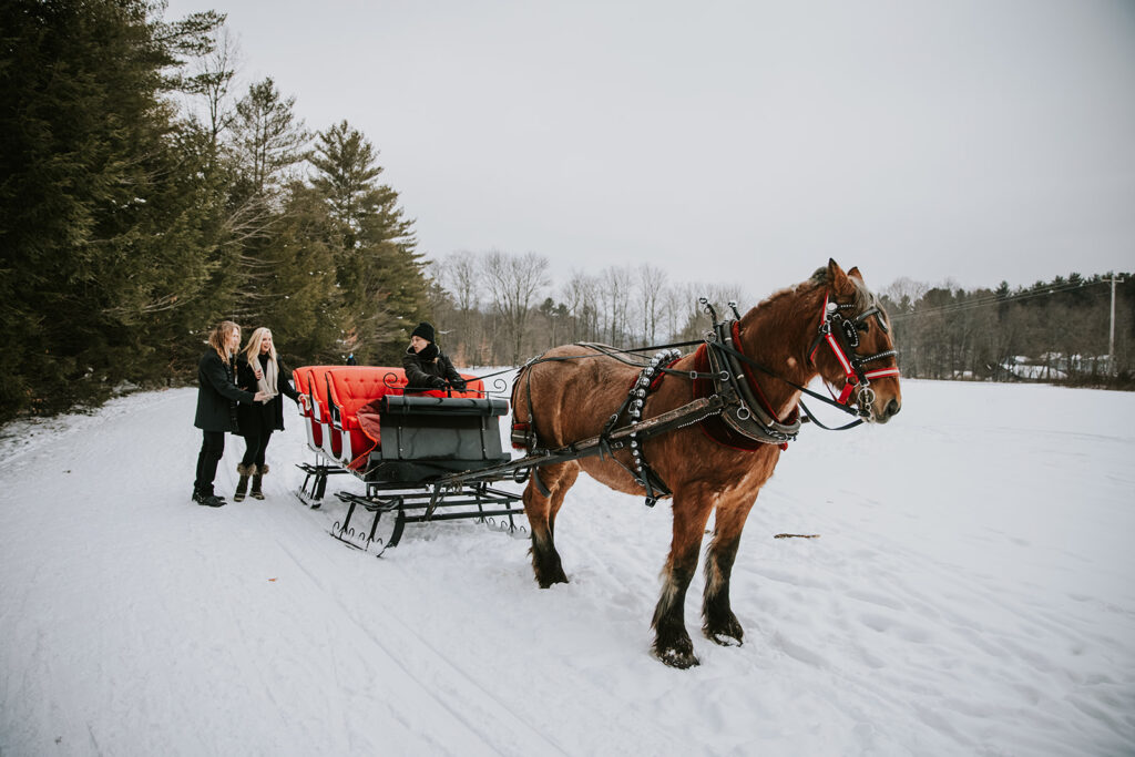 Gentle Giant sleigh ride proposal engagement Stowe Vermont