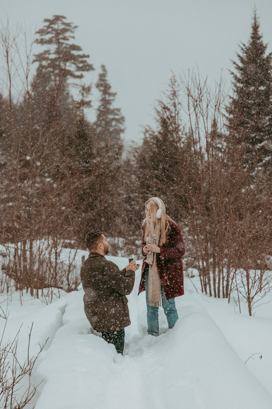 Snowy mountain landscape in Stowe, Vermont during winter with soft light and fresh snowfall